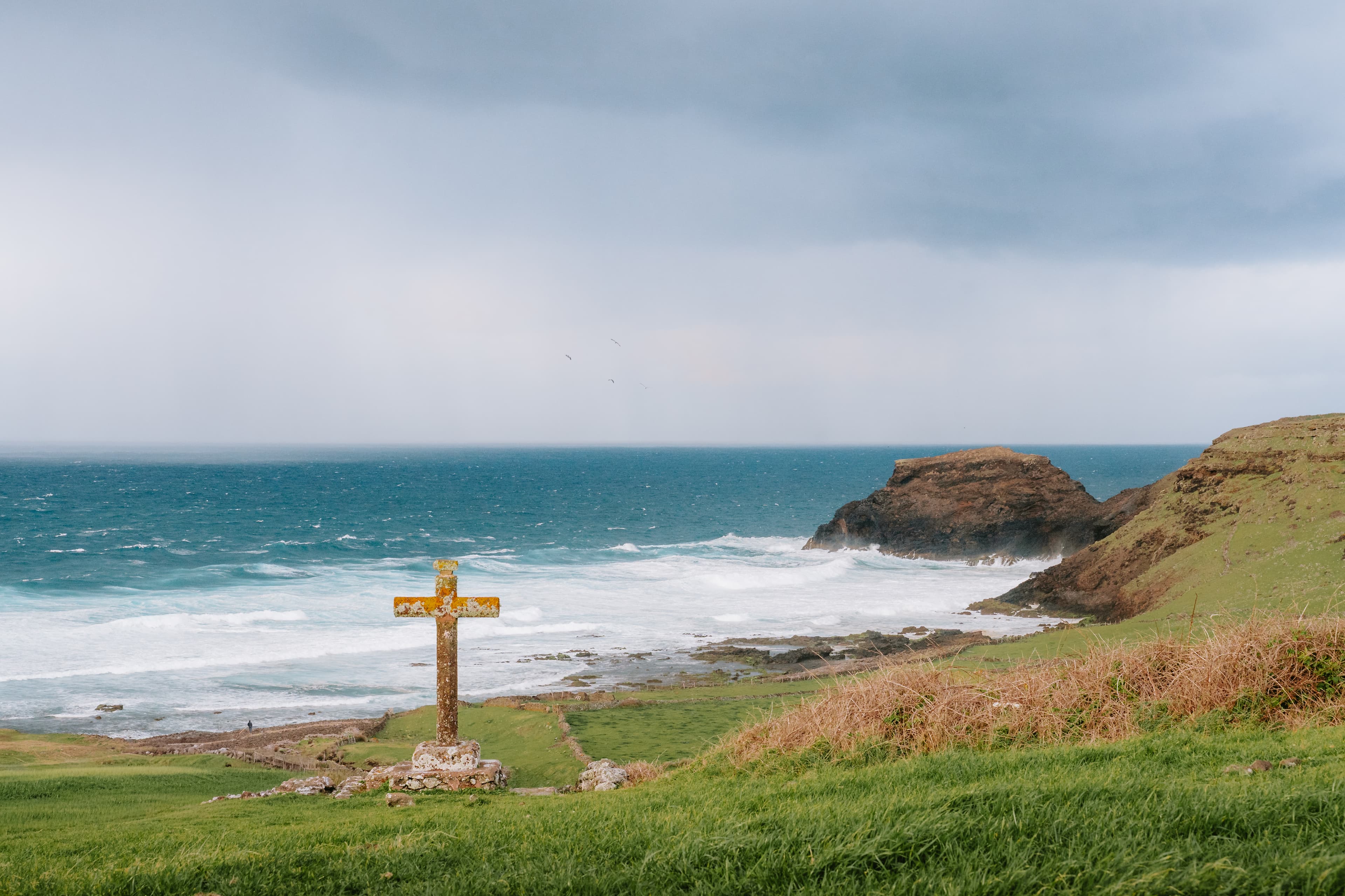 DSC06510-Edit-2-Edit