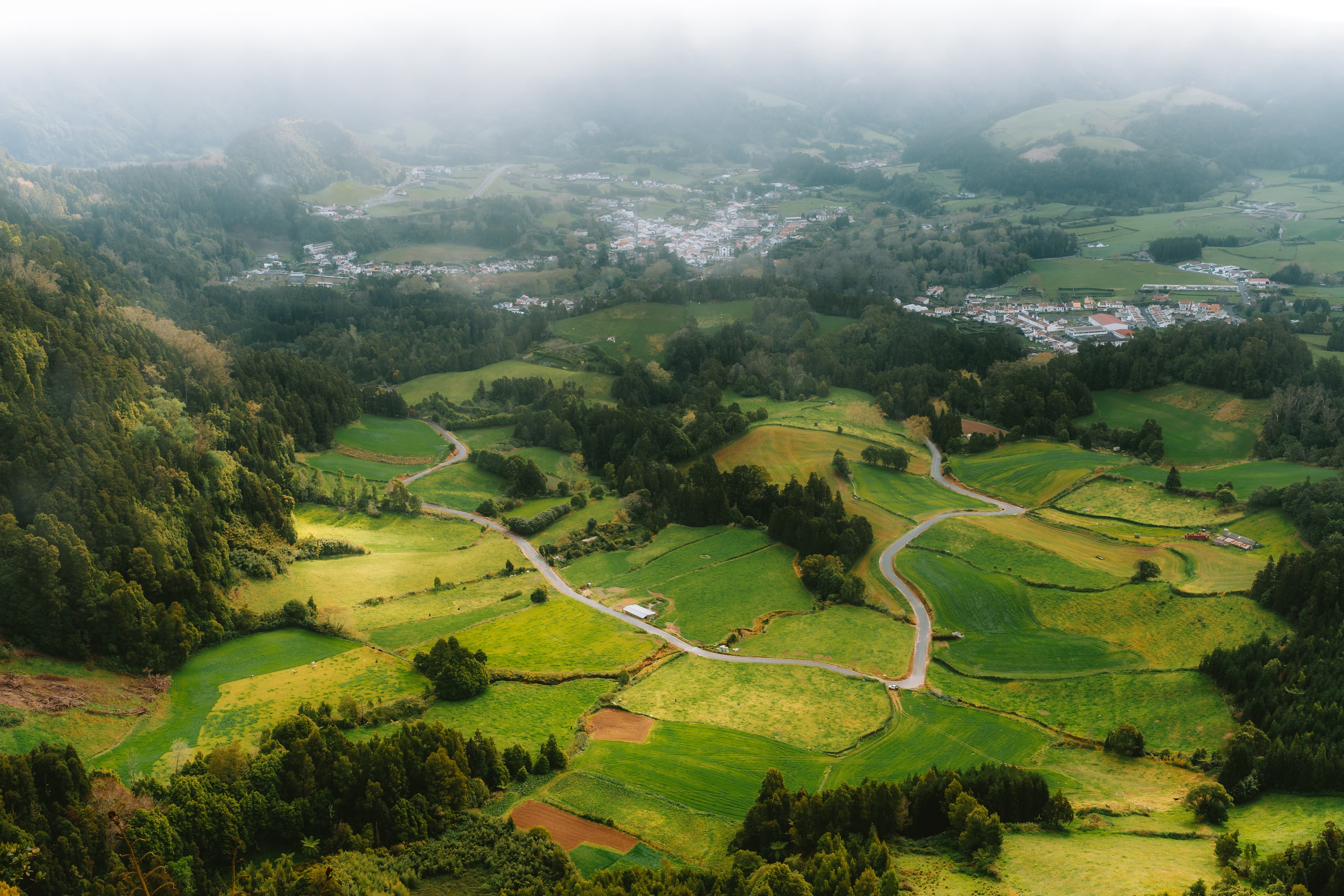 DSC07048-Edit
